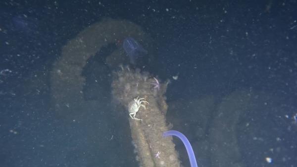 Turkmen Ambassador to Korea Begench Durdyyev delivers remarks at an event promoting peace and neutrality at the Turkmen Embassy in Seoul on October 27. (Turkmen Embassy in Seoul)