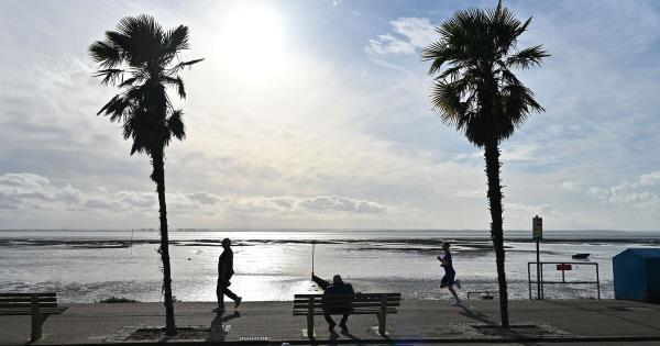 埃塞克斯惊现“恐龙”乱倒垃圾,居民困惑不解,肇事者竟逃过重罚!