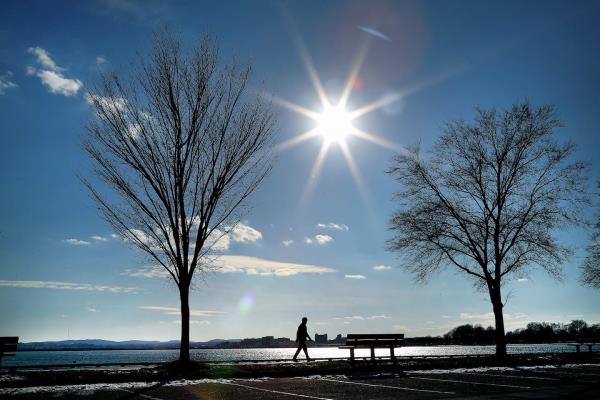 周三波士顿天气回暖，早晨微凉午后暖意融融