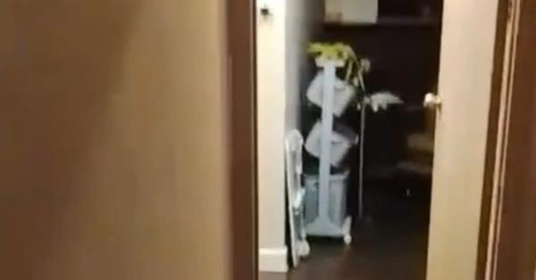 越南再现袋尸案:第二名韩国男子遇害